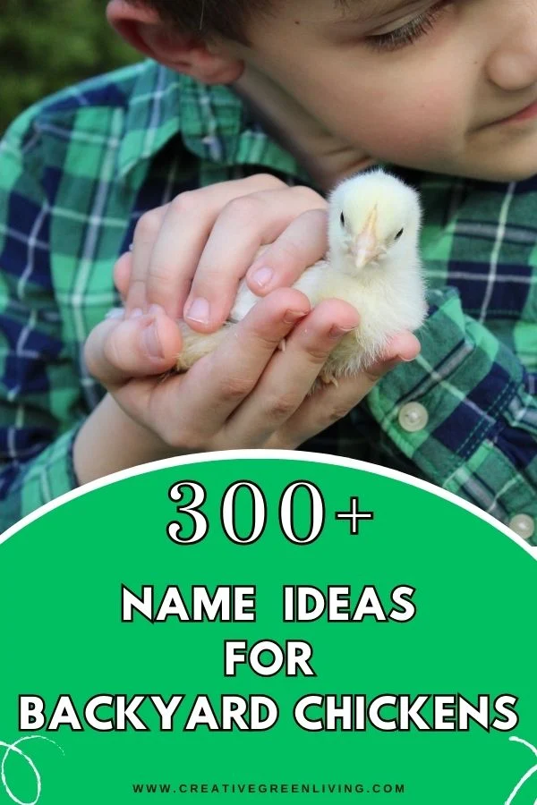 300+ Name Ideas for Backyard Chickens from Creative Green Living and chicken book author Carissa Bonham 300+ Name Ideas for Backyard Chickens from Creative Green Living